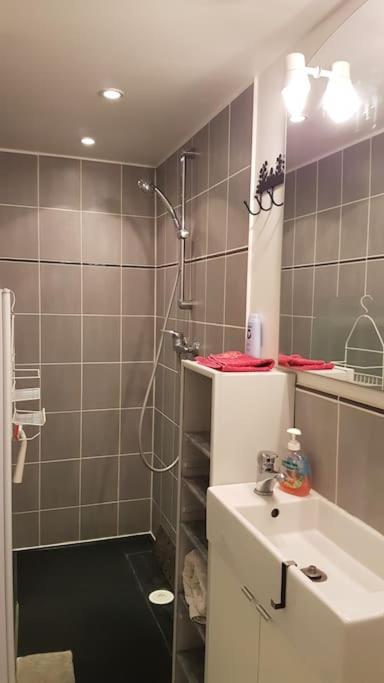 Studio, Mons Sart, Proche Lille Et Metro Zewnętrze zdjęcie